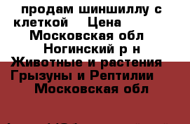 продам шиншиллу с клеткой  › Цена ­ 4 000 - Московская обл., Ногинский р-н Животные и растения » Грызуны и Рептилии   . Московская обл.